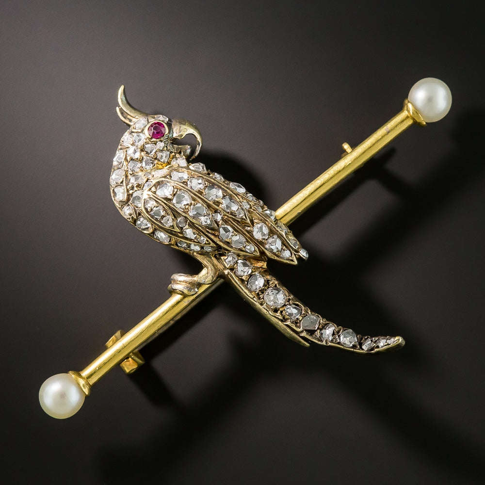 Victorian Cockatiel Pin - 1