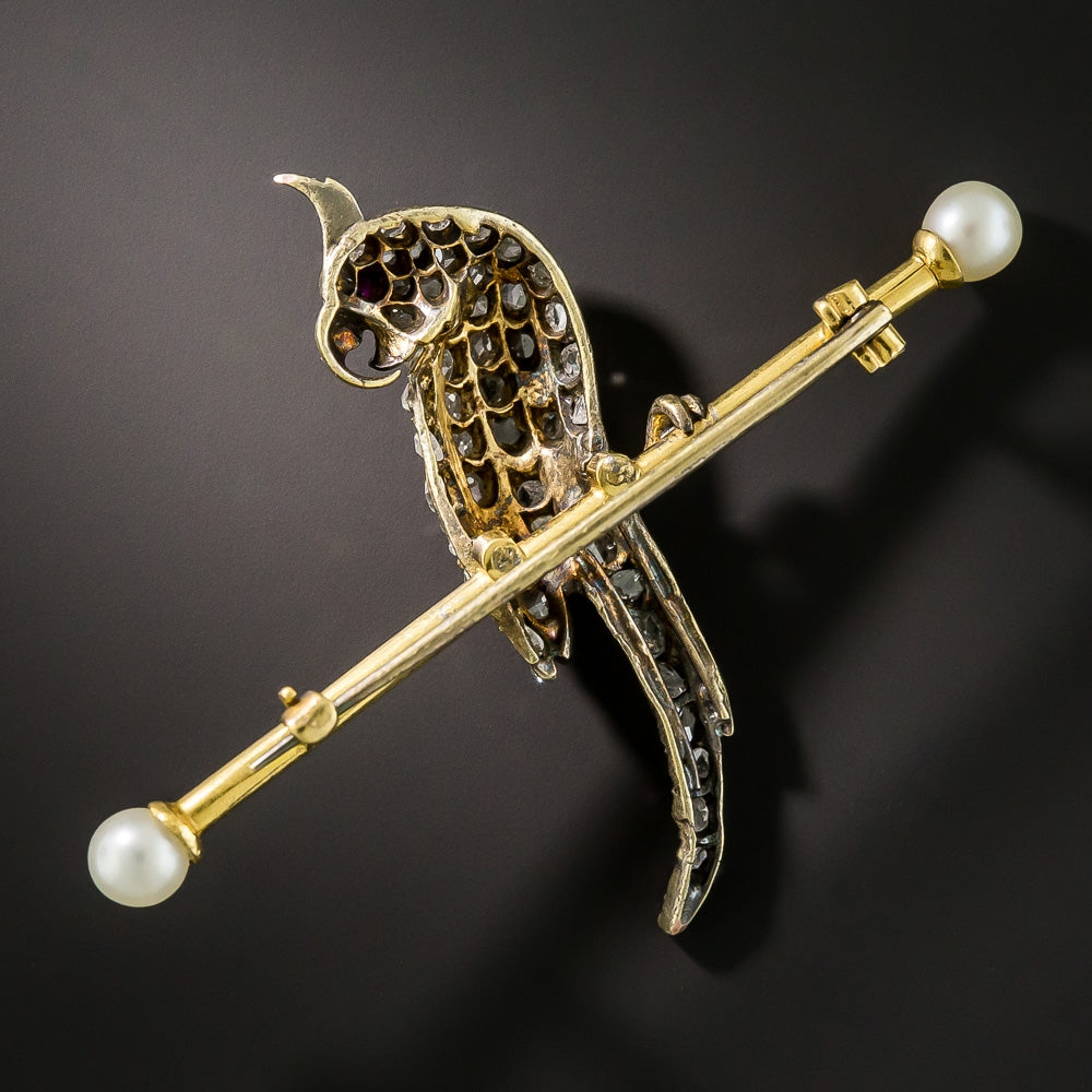 Victorian Cockatiel Pin - 3