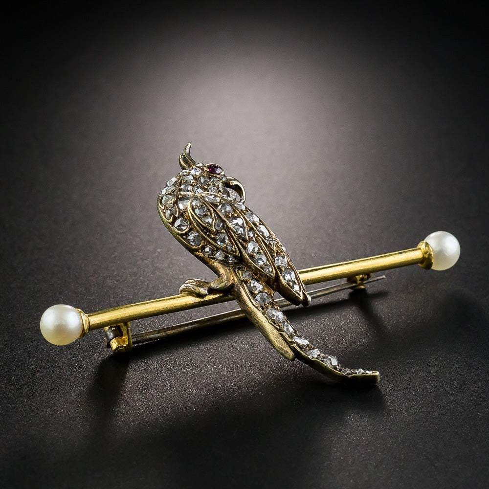 Victorian Cockatiel Pin - 4