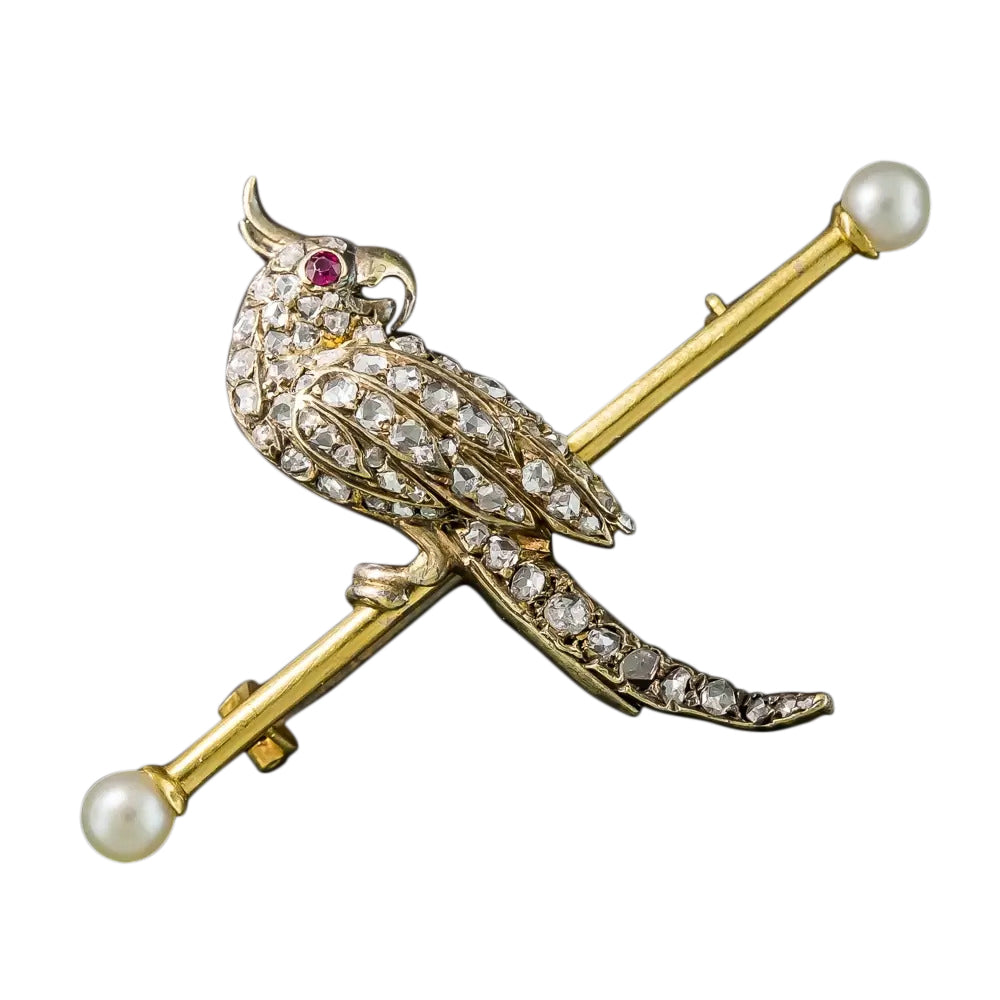 Victorian Cockatiel Pin - 7