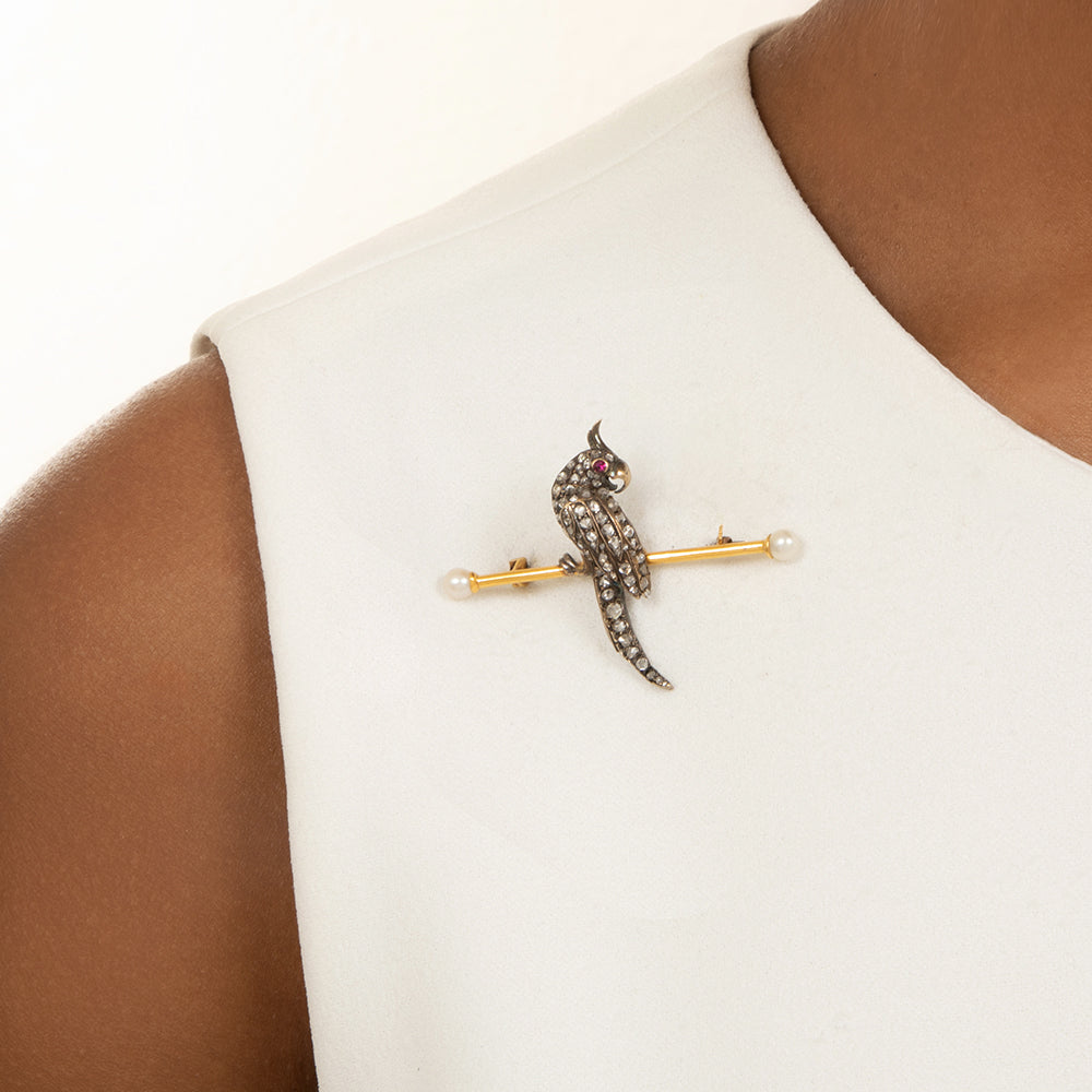 Victorian Cockatiel Pin - 8