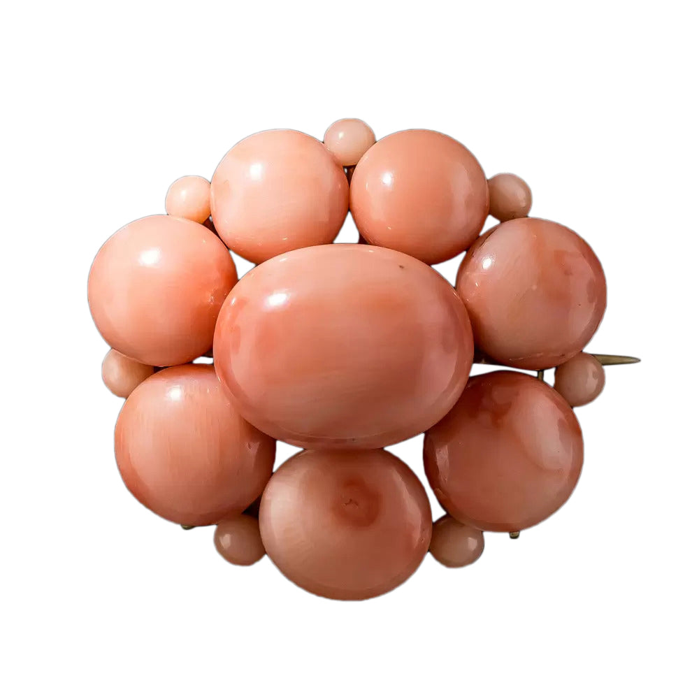 Victorian Coral Cluster Brooch - 6